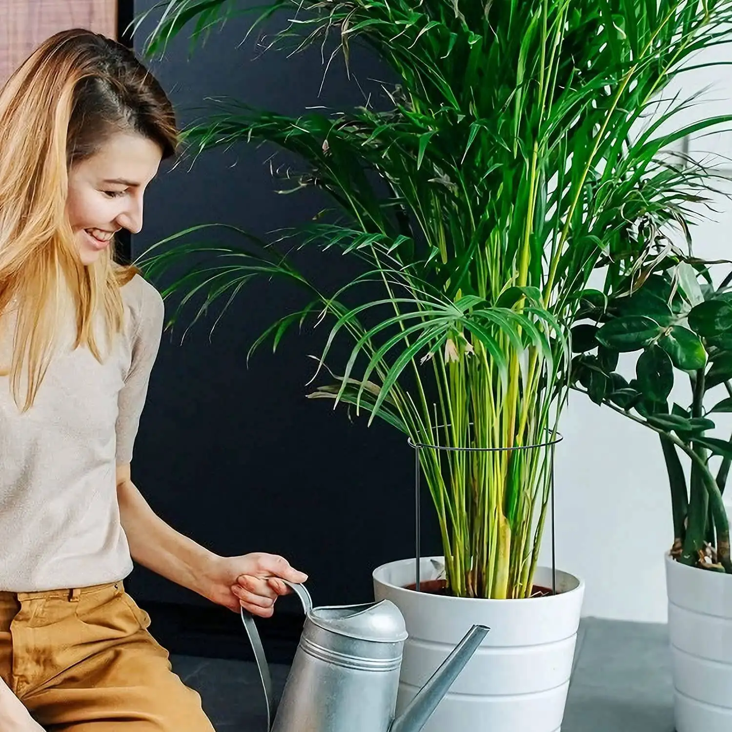 AB06 حزمة مكونة من 12 حصص دعم زهور الحديقة شبه دائرية، لنباتات زهور الطماطم، دعم الحدود #3