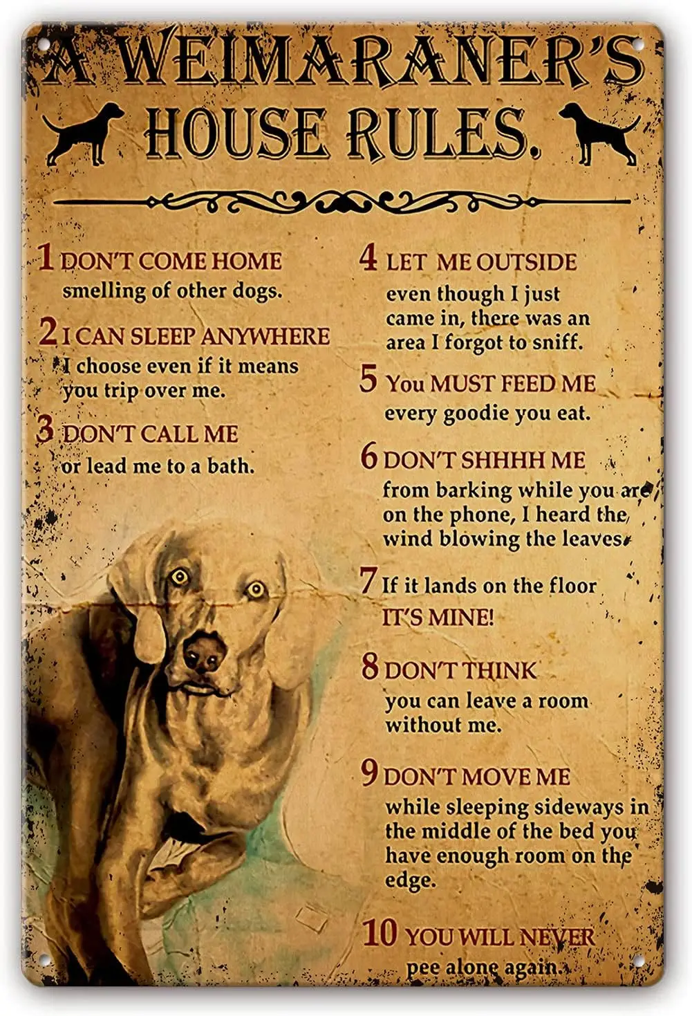 Weimaraner Dog House Rules Retro Metal Tin Sign Wall Art Living Room Decorative Paintings for Bedroom Gallery Print Pics Picture