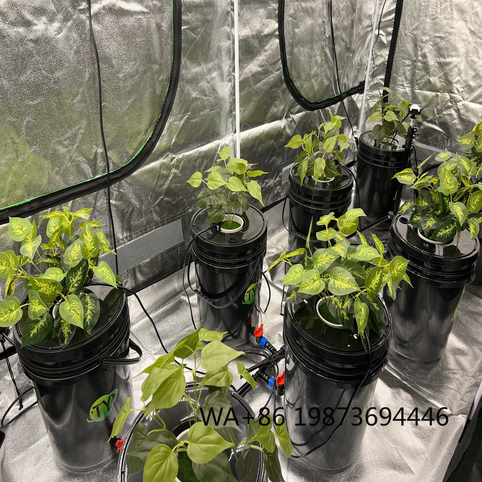 332m/0.60.61.4m Metal Grow Tents, Hydroponic Full-size LED Light 600w/1000w