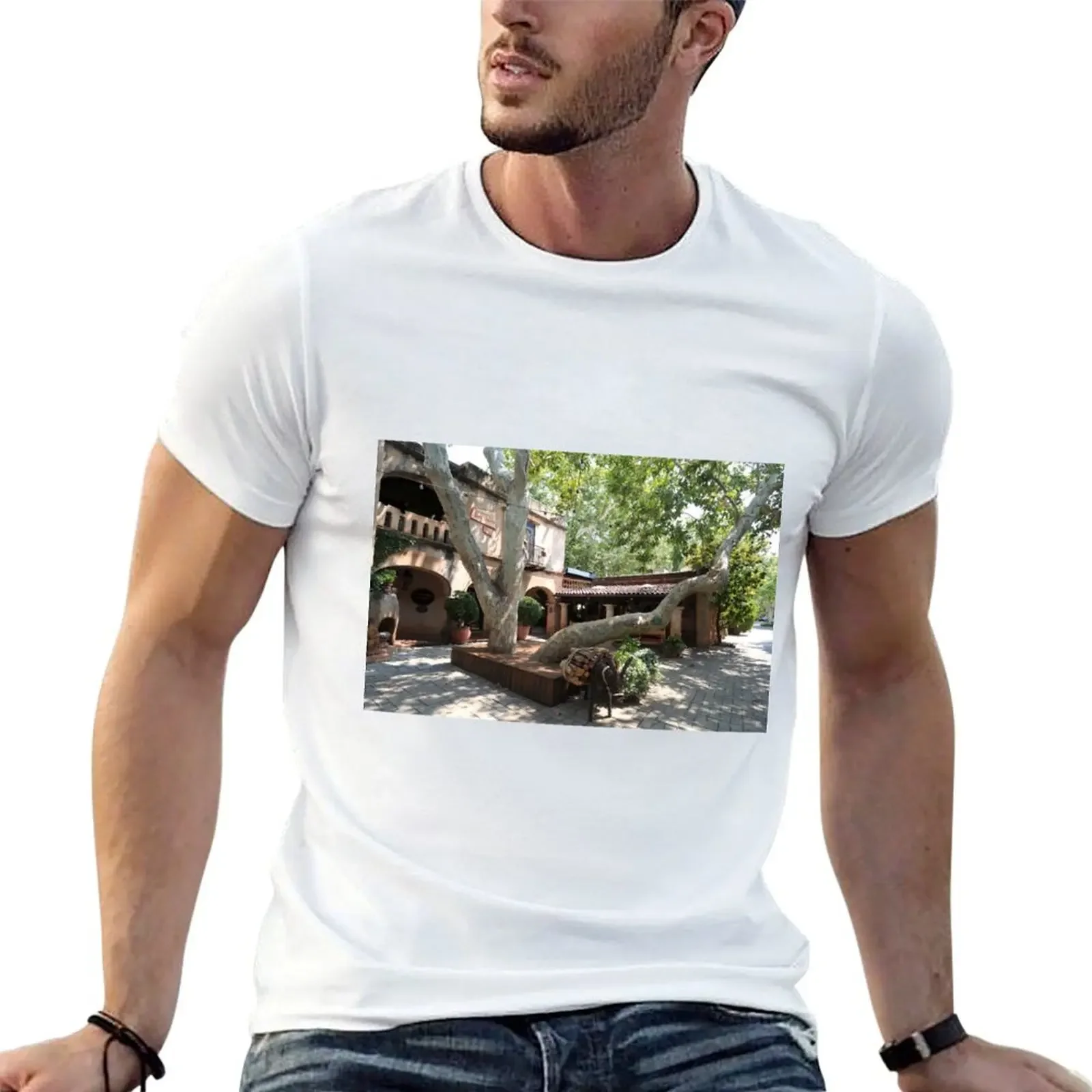 Tlaquepaque village in Sedona T-Shirt man clothes anime oversized men tshirt