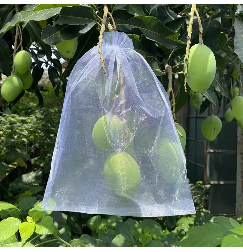 20-100 stücke Erdbeere Trauben Obst Wachsen Taschen Netting Mesh Gemüse Pflanzen Schutz Taschen Für Schädlingsbekämpfung Anti-vogel garten Werkzeuge – Detail 6
