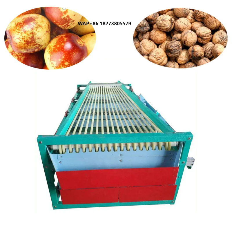 Small Lemon Garlic Date Olive Macadamia Nut Kumquat Passion Fruit Grader Sorter Automatic Vegetable and Fruit Grading Machine