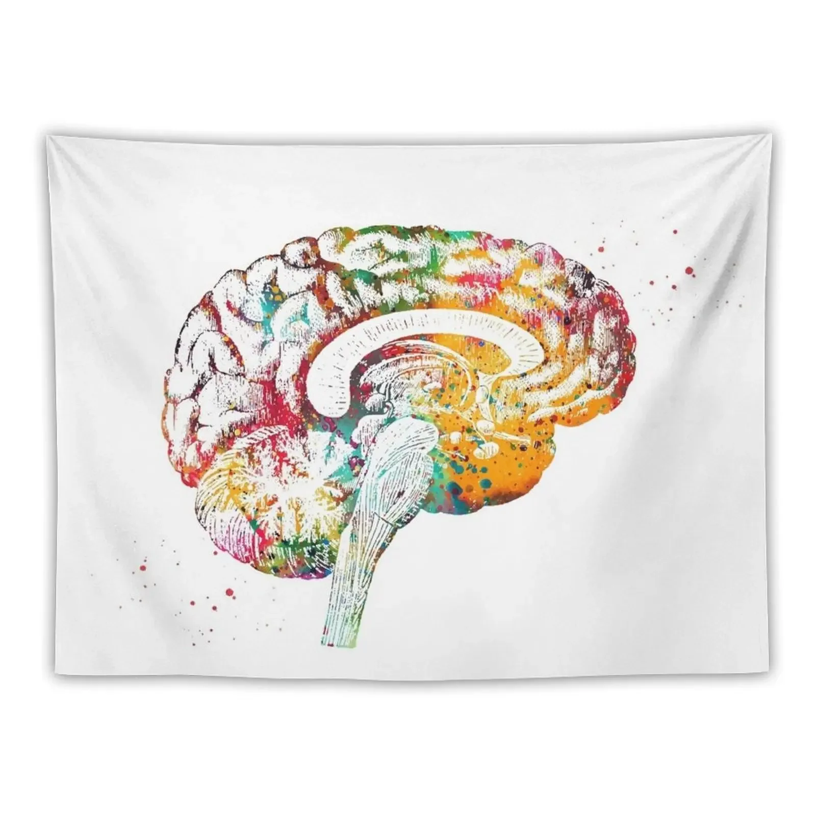 Brain anatomy cross section Tapestry Room Decoration Accessories Decor For Bedroom Home Decorators Decoration Bedroom Tapestry