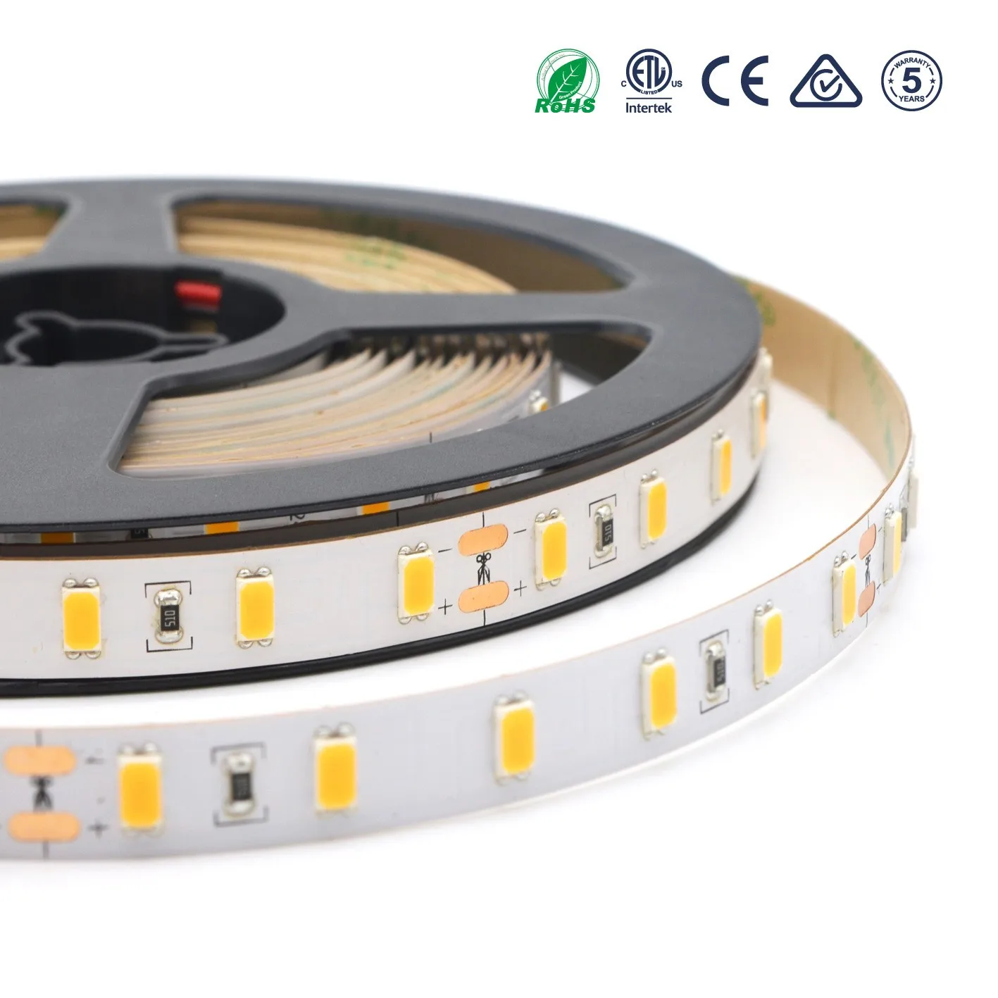 5M 300 LED Strip Light IP20 DC12V Ribbon Tape Brighter SMD2835 Cold White/Warm White/Ice Blue/Red/Green/blue New 5M 300 LED