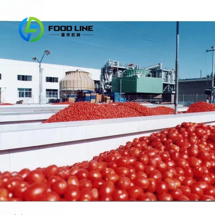 Continuous Tomato Paste Production Line Fully Automatic System For Unattended Tomato Ketchup Production Process