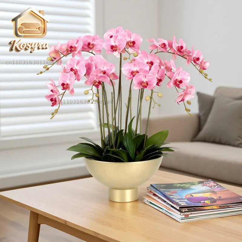 wide-mouth large flower pot, home desktop ornament, phalaenopsis orchid planter, holiday decoration, floral arrangement vase