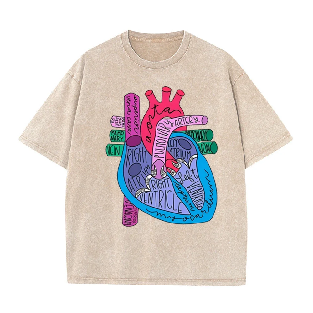 2026 Unisex Vintage Washed Cotton Tee Color Block Anatomy Heart Print Casual Round Neck Short Sleeve Medical Daily Tops