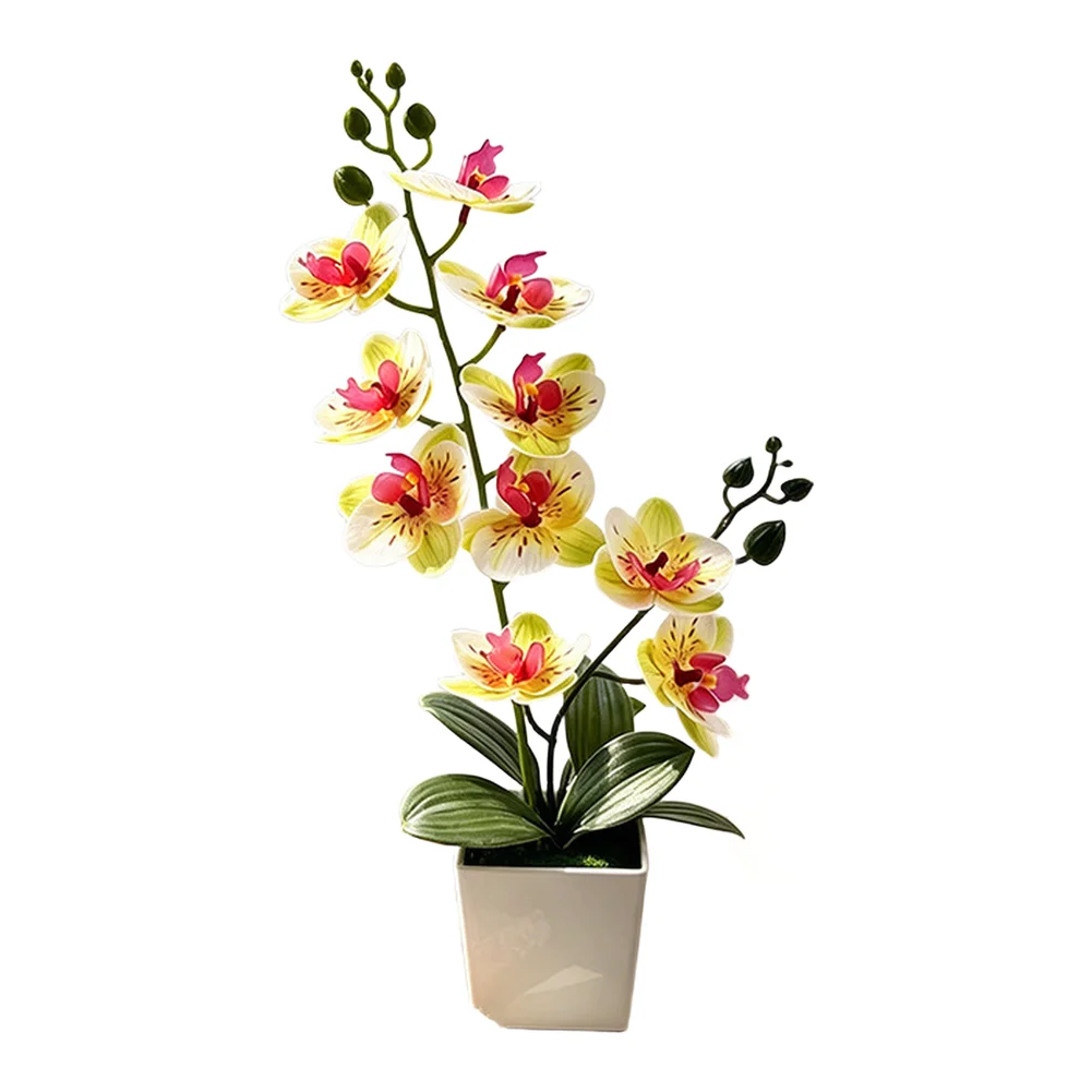 Artificial Phalaenopsis Orchid Flower in Square Pot 3D Realistic Design for Home Decor Wedding Photo Shoot Tabletop Display