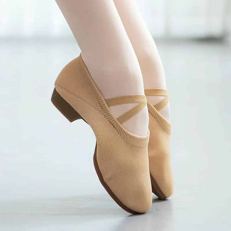 Professional Camel Black Adult Ballet Modern Latin Jazziness Dance Low Heels Soft Sole Breathable Knitted Mesh Shoes