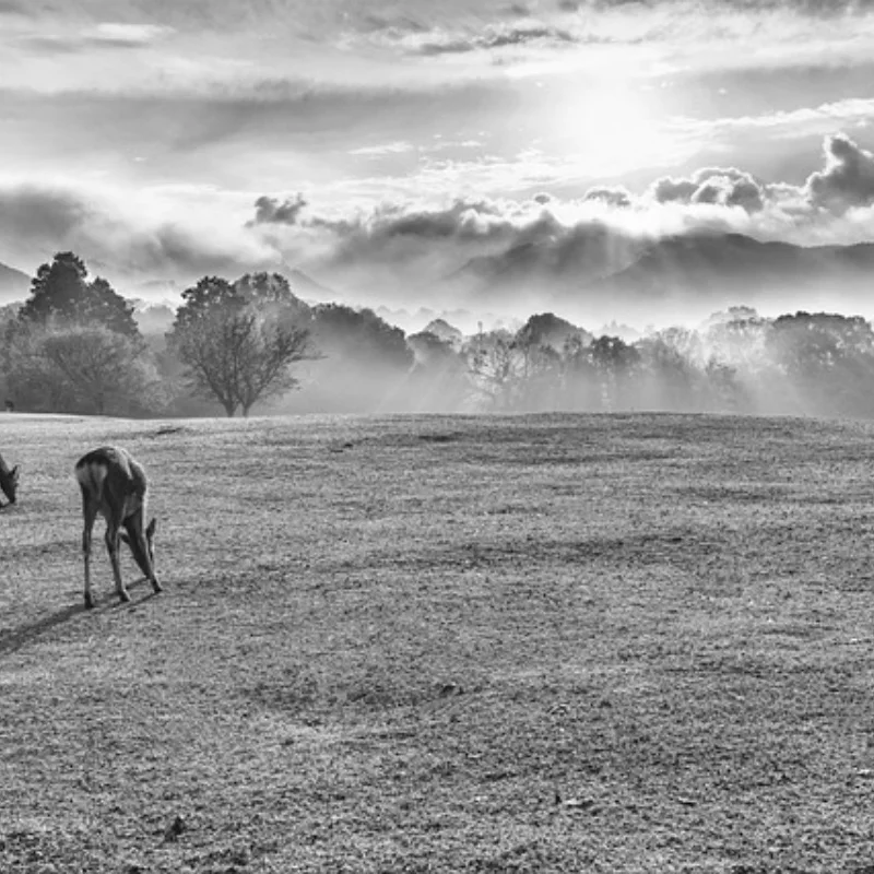 

4PCS Metal Beadlock 1.9 Wheel Rim Wheel Hub For 1/10 RC Crawler Car Trxs TRX4 RC4WD D90 Axial SCX10 90046 AXI03007