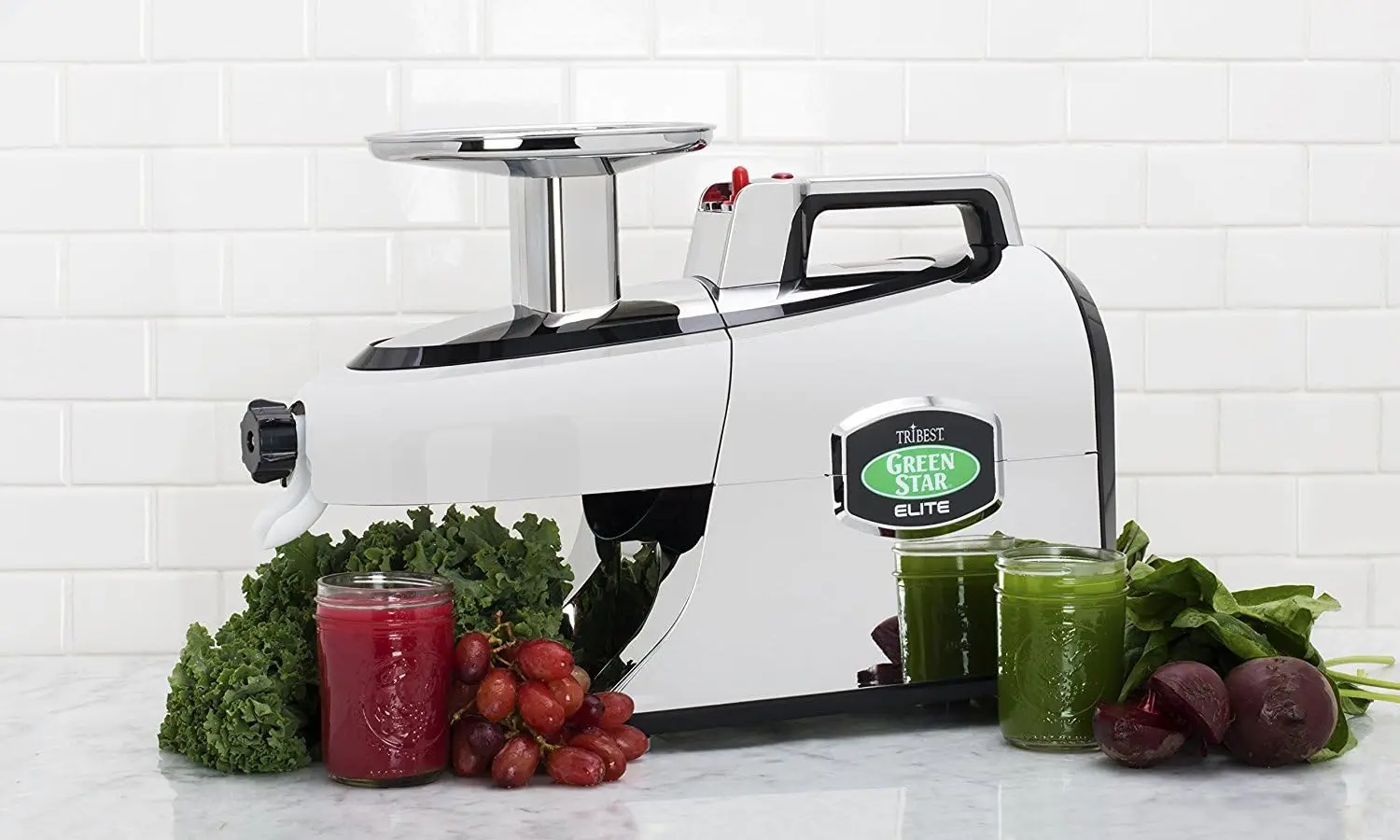 GSE-5050 Elite Twin Gear Cold Press Slow Masticating Juicer (Chrome)