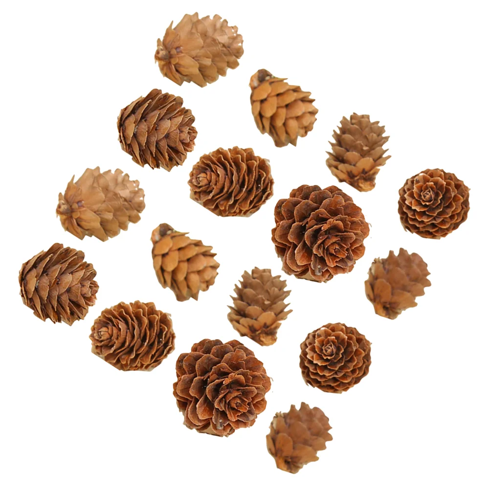 100 Pcs Songhwa Photo Props Garland Pine Cone Crafts Small Cones Ornaments Artificial Creative Wreath