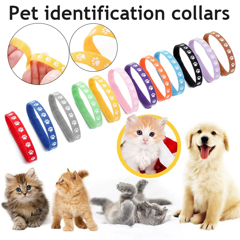 Newborn Puppy Cat Identification Collar Pet Footprint Memory Keep New Life Birth Milk Necklace Pet Supplies Puppy Kitten