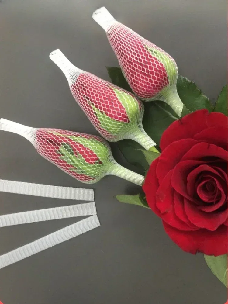 Roses Plastic Protective Net Flower Bud Mesh Sleeve Flowers Makeup Brush Protective Sleeve Flower Bud Stereotype Flower Cover