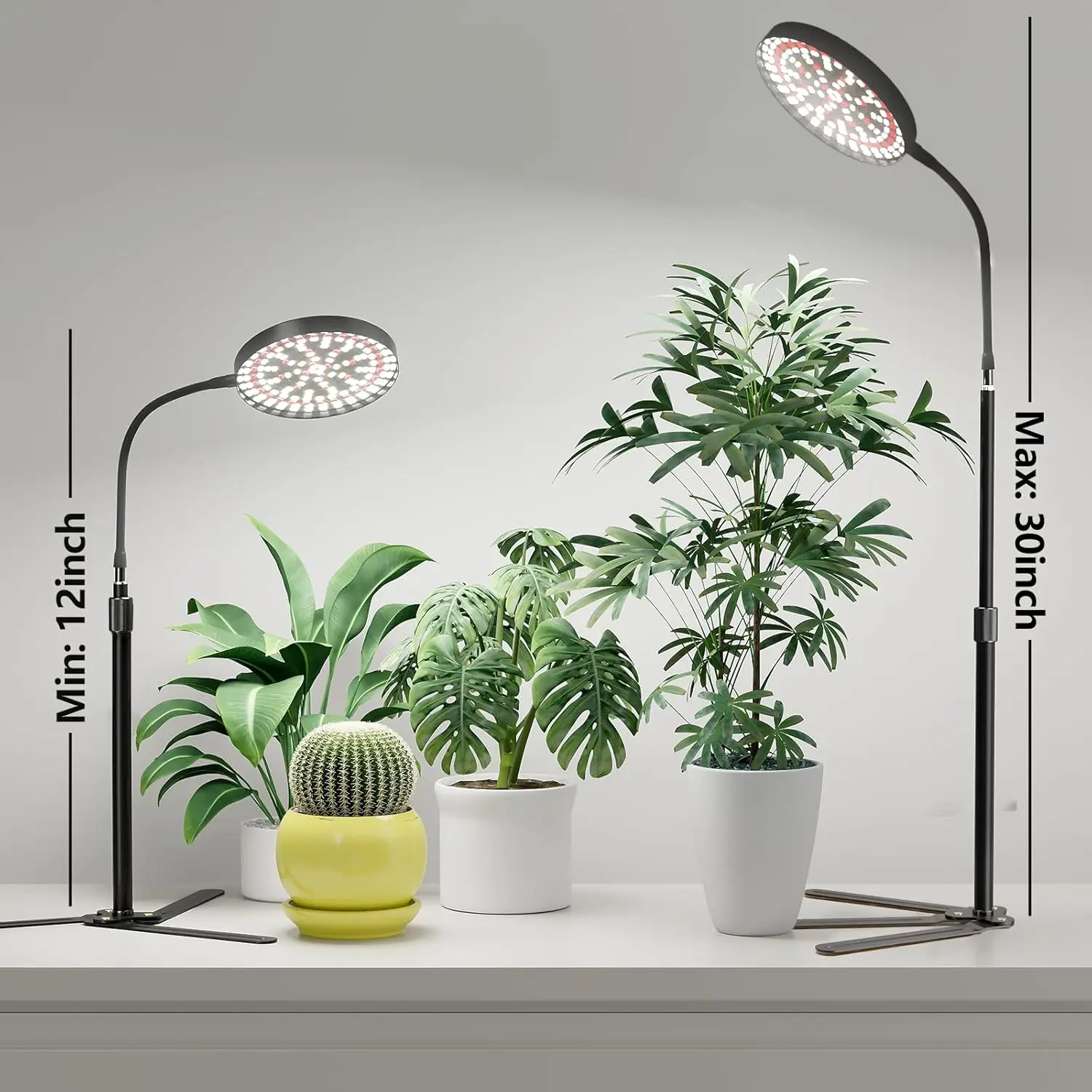 Plant Grow Light LED Full Spectrum Plant Growing Lamp for Home Office Indoor Plants,Adjustable Height & Auto Timer