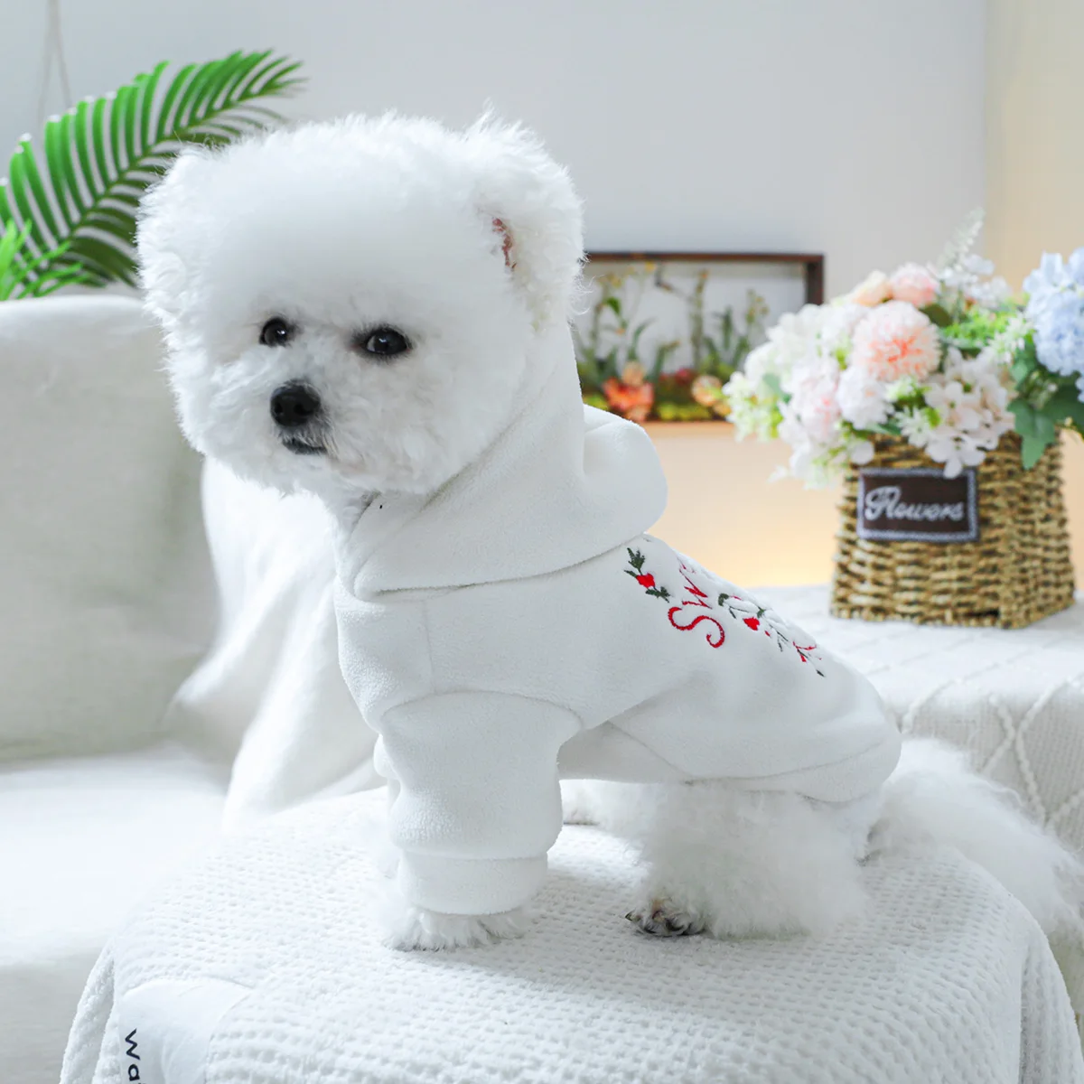 1PC Pet Clothing Spring and Autumn Thick Velvet White Sweetheart Hoodie Hat Coat Suitable for Small and Medium sized Dogs