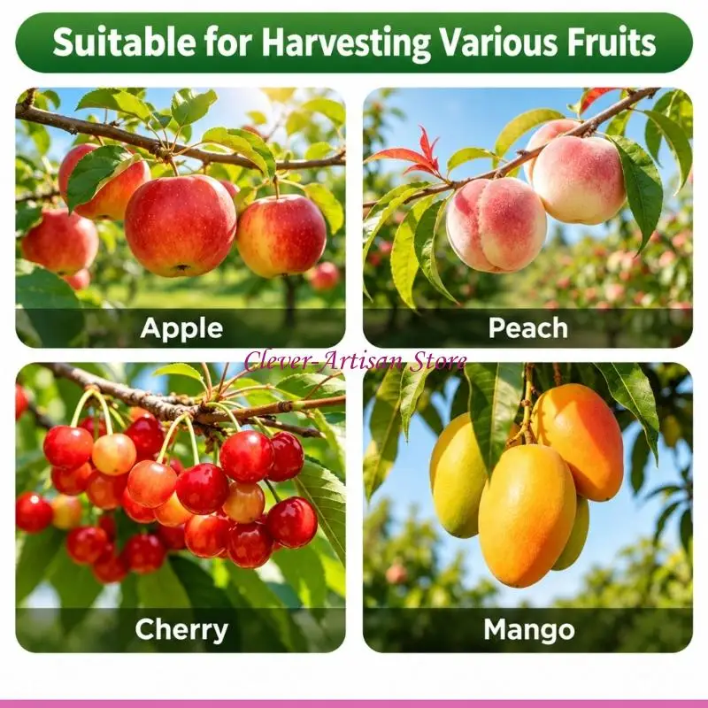E06B Fruit Tool Head with Steel Wire Framework, Flexible Insert, and Mountable Base for Tree Fruit Removal Above Reach