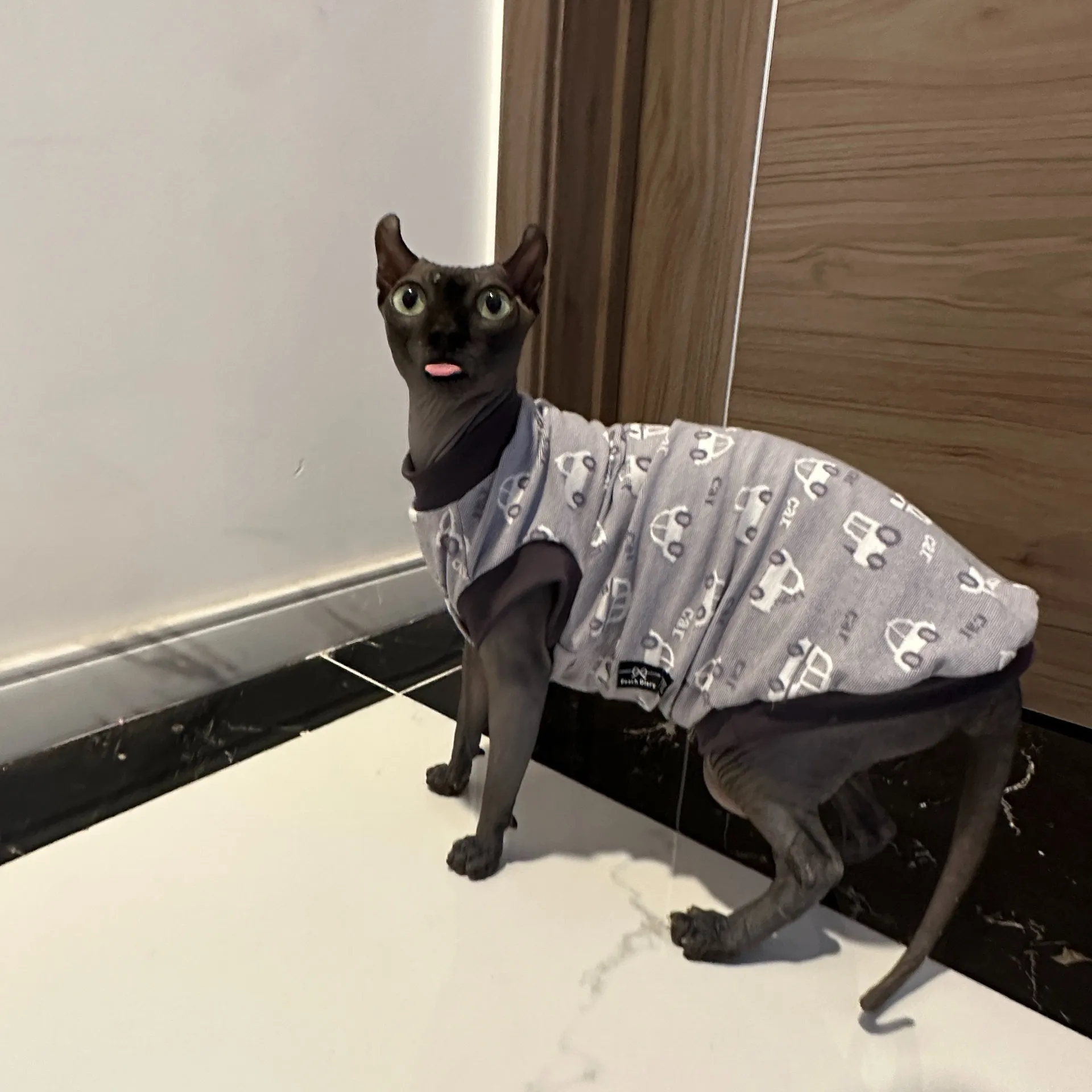 Cartoon Cars T-shirt for Sphynx Cat Short Sleeves Summer Cotton Coat for Devon Rex Soft Grey Jumpsuit for Hairless Cat in Spring view 3