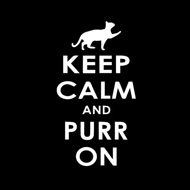 Cute kitten keep calm and interesting high quality car decoration pvc window waterproof sticker black/white, 16cm * 9cm