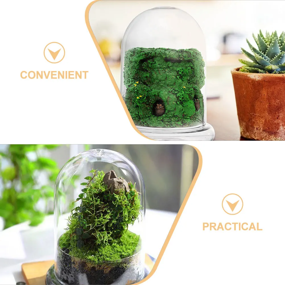 

Micro Landscape Ecological Bottle Clear Glass Display Cloche Dome Durable Glass Bell Jar for DIY Plants Bell Jar Dome