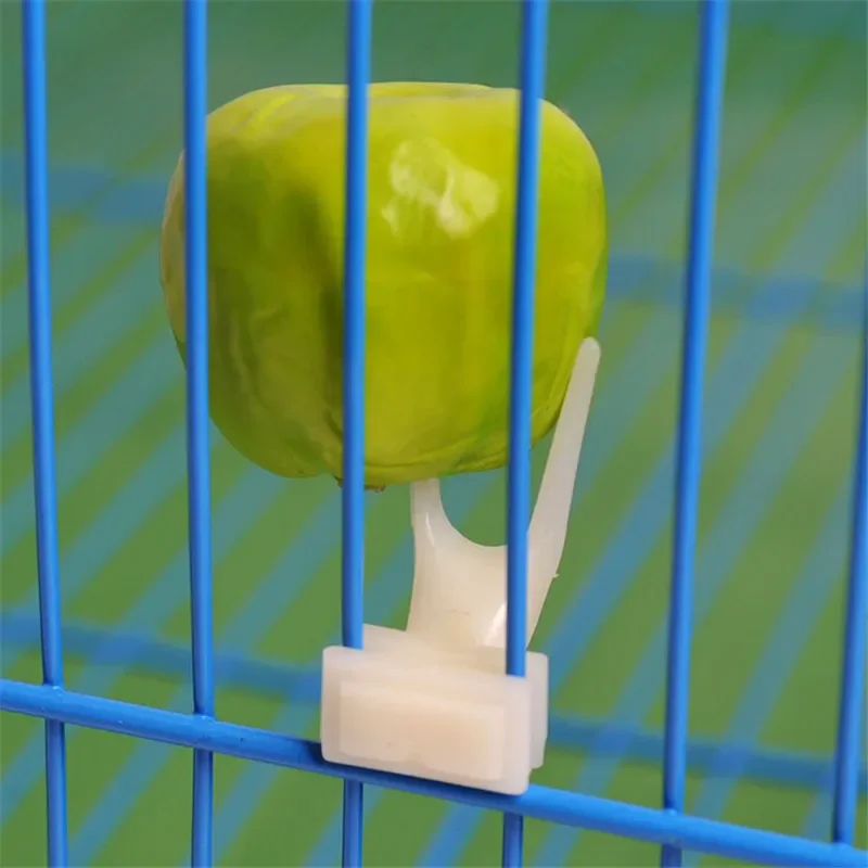 1Pc Fruit Fork Bird Feeder Parrot Pet Bird Plastic Food Holder Feeding on Cage for Hamster Rat S/L Convenient Feeder Bird Toys