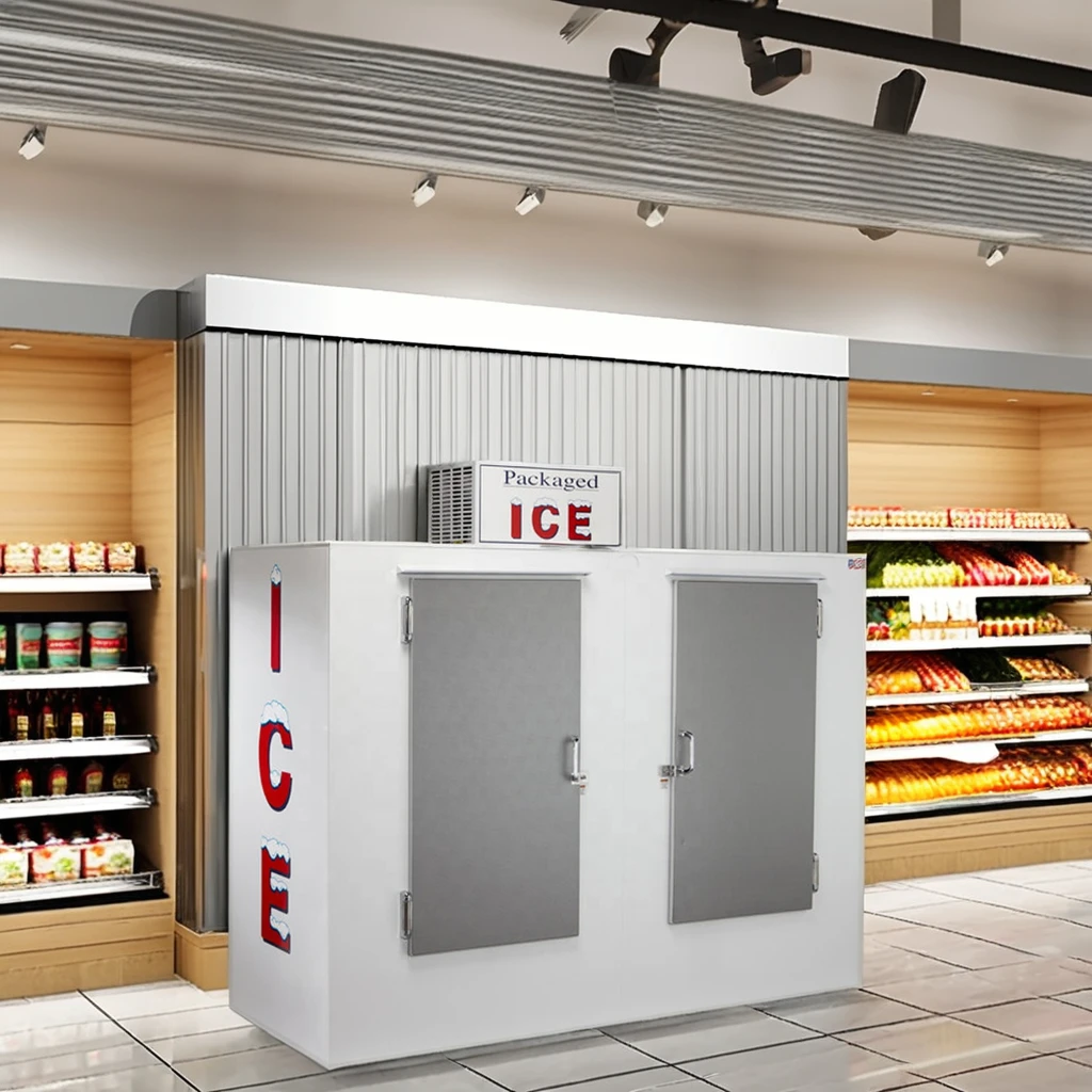 Indoor Single Two Door Outdoor Bagged Ice Merchandiser Storage Freezer