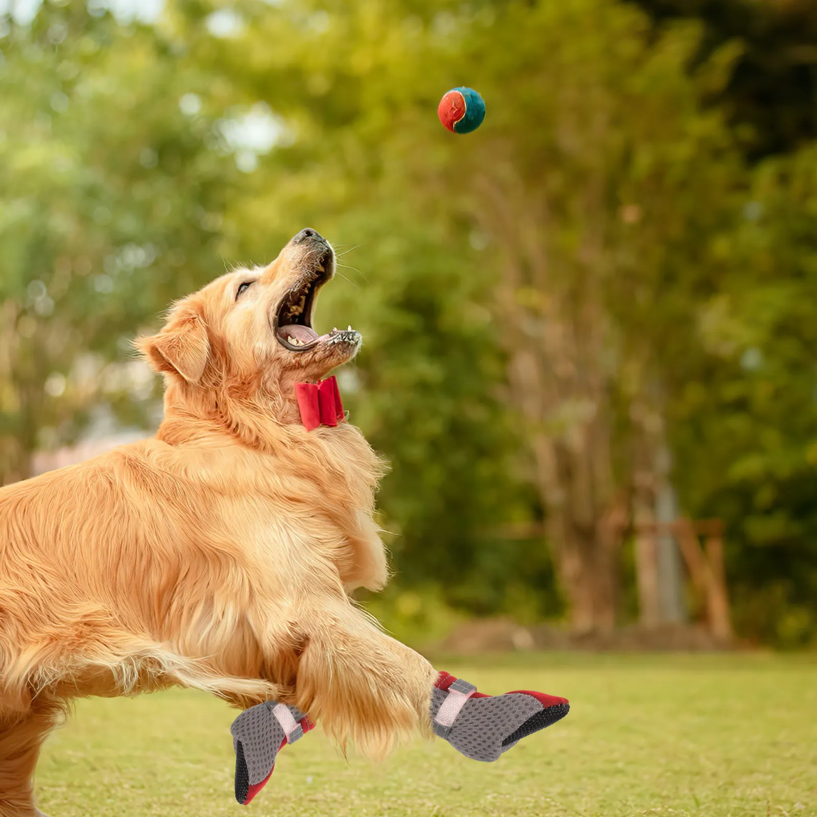 4 pares de calcetines de malla transpirable para perros pequeños, zapatos antideslizantes, botines protectores para interiores y exteriores, calzado para cachorros, zapatos para perros pequeños