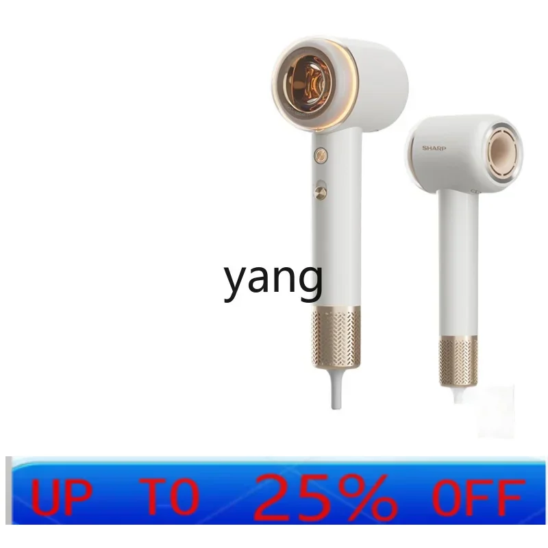 lcx high-speed hair dryer household high-power negative ion constant temperature hair dryer