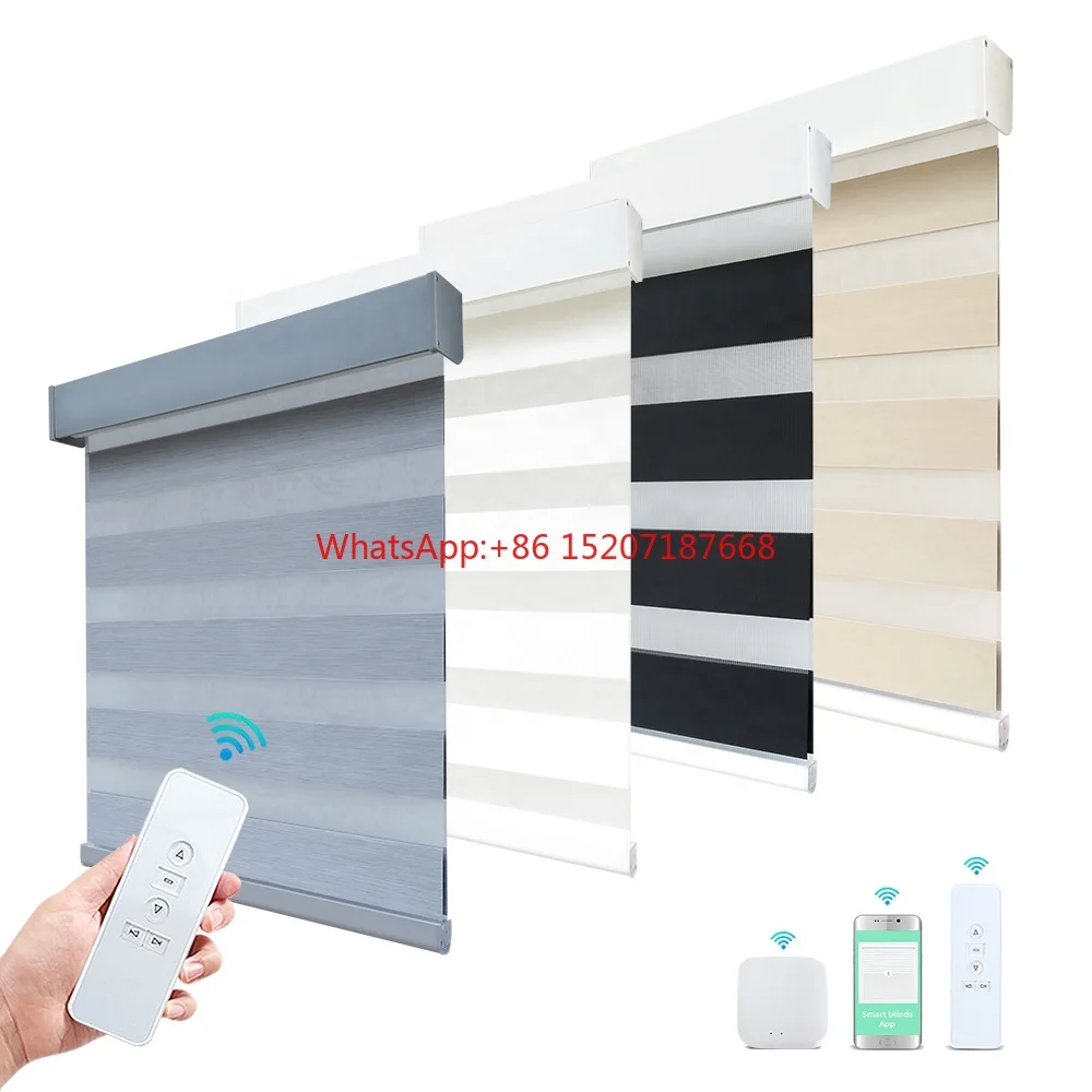 High Quality Smart Alexa Wireless Google App Remote Control Dual Electric Windows Zebra Roller Blinds Made in China