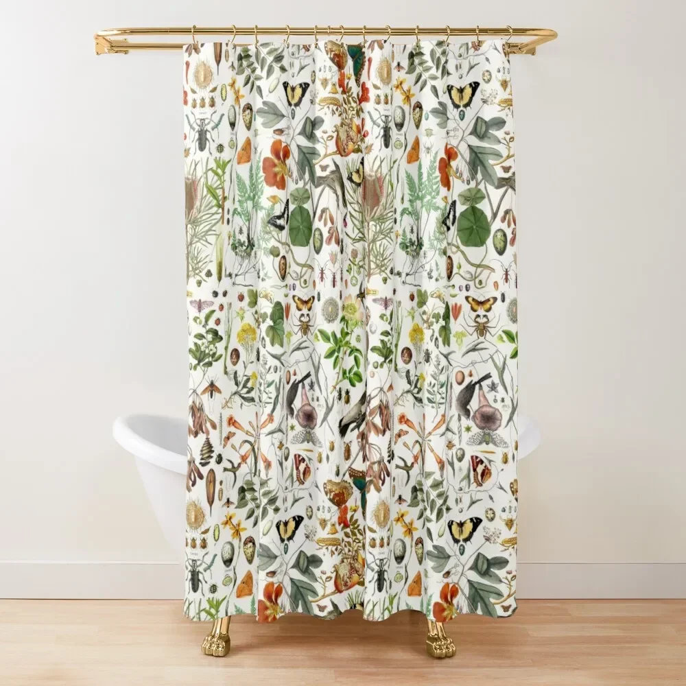 Biology Floral Stall Shower Curtain, Vintage Garden Plants Herbs Flowers Botanical Design, Fabric Bathroom Decor Set with Hooks