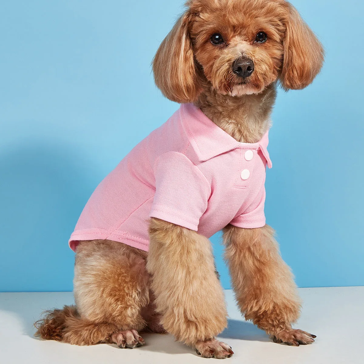 Summer Dog Vest 6 Candy Color Shirts Puppy Breathable Solid Polo-shirts Chihuahua Yorkie Fashion Vests Dog Costume Pet Clothing