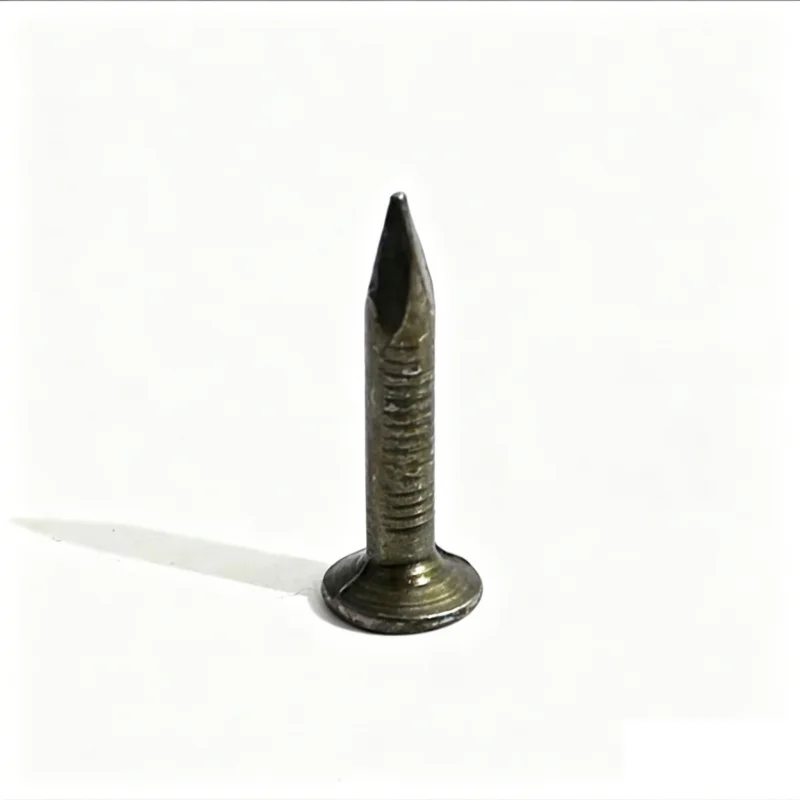 300 clavos para tejas de asfalto, cabeza grande, acero, cemento, para techos y fieltro 5