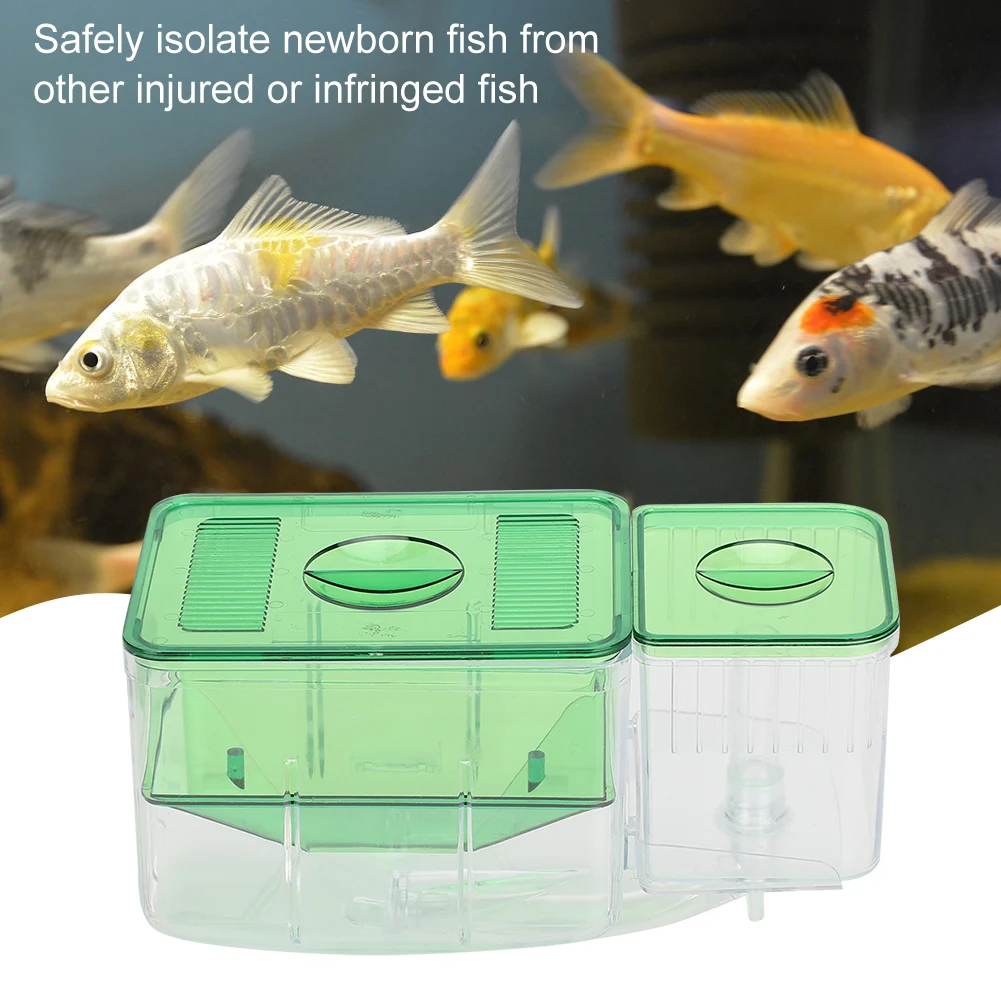 Aquarium Fish  Breeding Box Little Fish Double‑Layer Isolation Incubator for Injured Small Fish Shrimp Aquarium Incubator