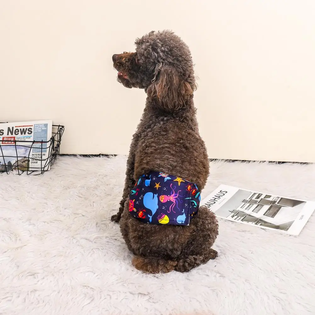 Pet Diapers Adjustable Washable Pet Sanitary Pants Fastener Tape Absorbent Leak-Proof Male Dog Physiological Diaper Pet Supply