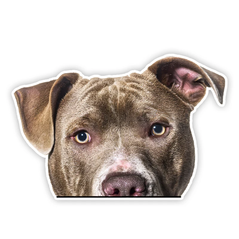 

DK312# Staffordshire Bull Terrier Car Stickers Waterproof Vinyl Decal For Truck Motorcycle Scooter Auto Accessories