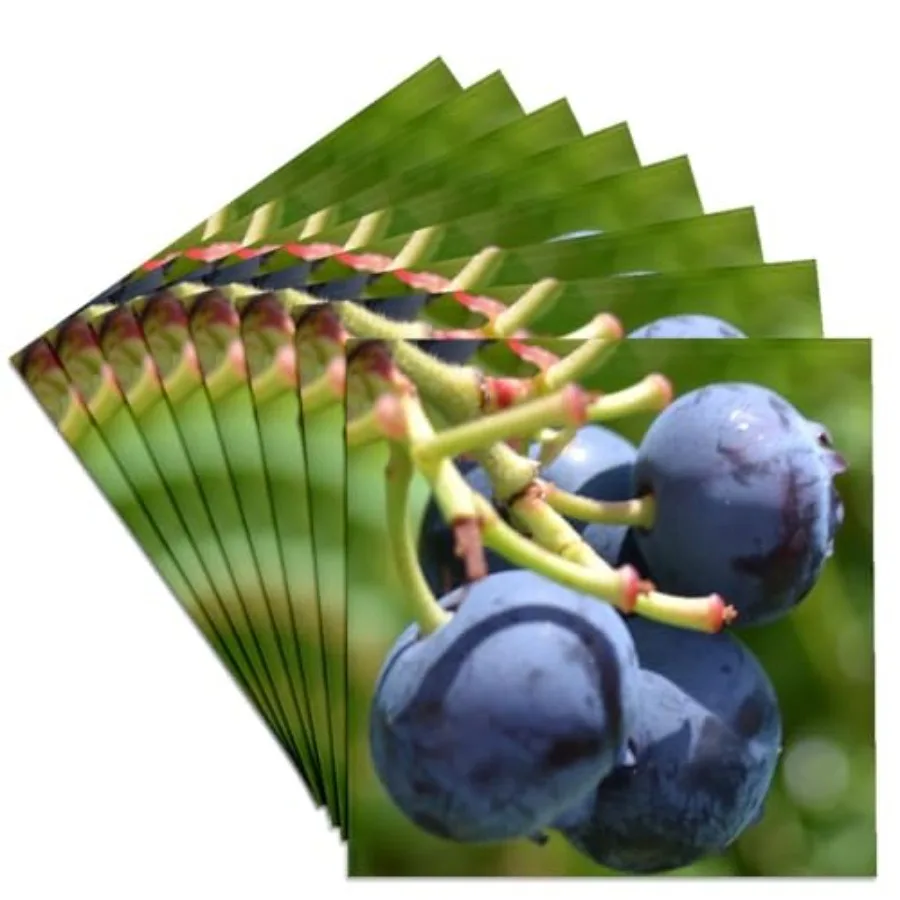 

Набор из 8 керамических подставок под кружки LLC Blueberry Expression II