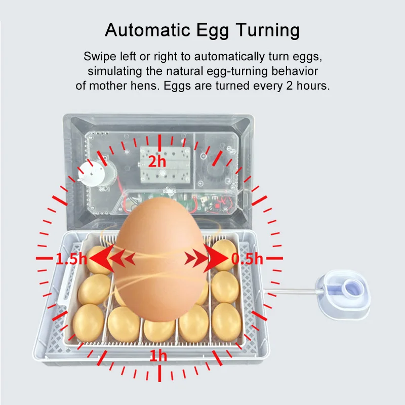 Инкубатор для яиц, маленький домашний автоматический инкубатор для яиц на 15 яиц для курицы, утки, гуся, умный контроль, поворотный свеча для яиц, домашний фермерский люк-коробка