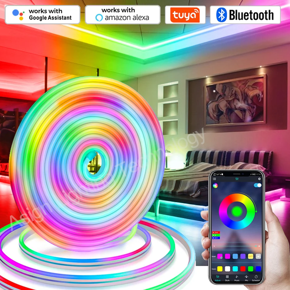 

Dreamcolor LED Neon Strip Light 12V RGBIC Led Ribbon Dimmable Smart RGB Tape Remote/Buletooth/Wifi Control For Home Decoration
