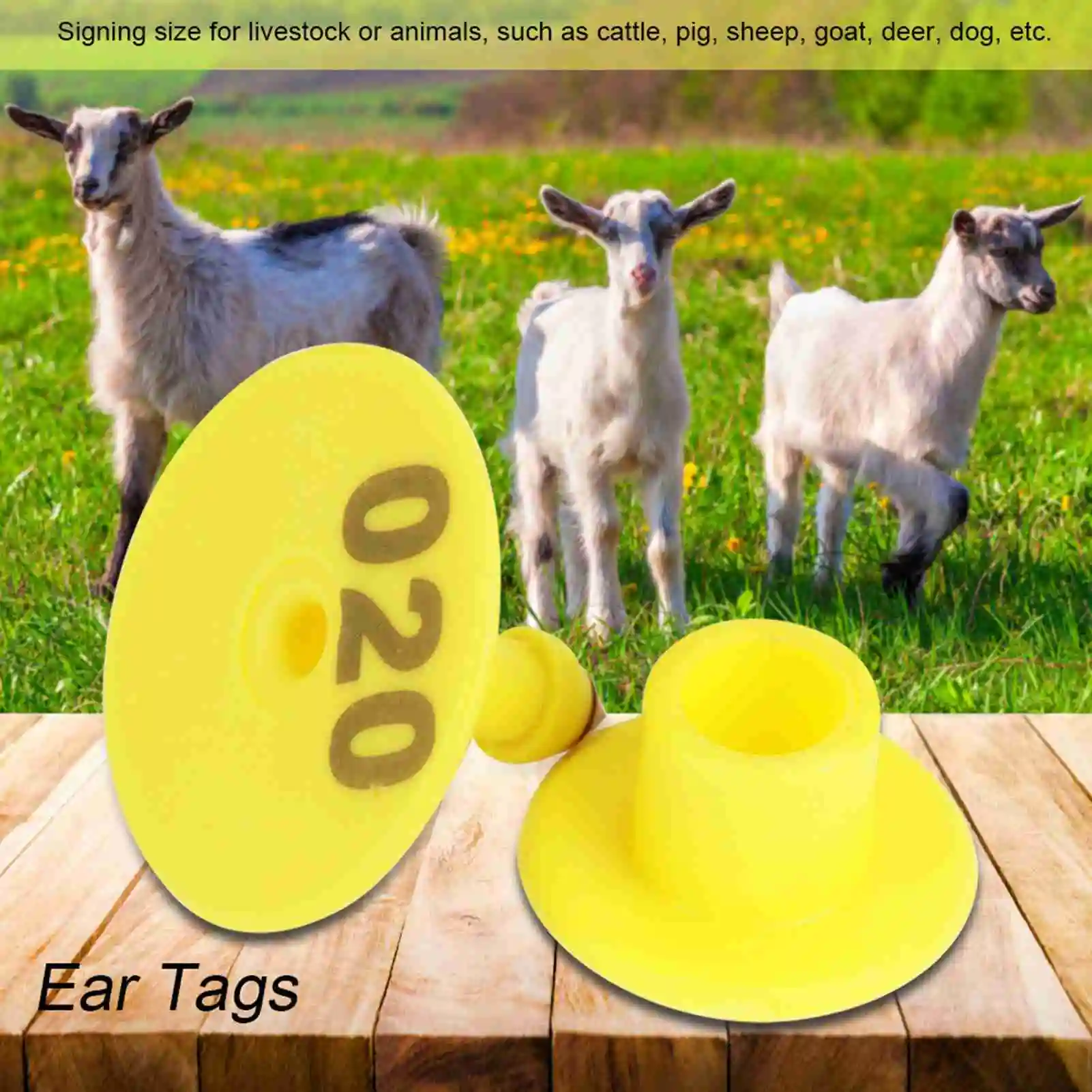 100Pcs/Set Sheep Goat Hog Pig Cattle Beef Cow Livestock Ear Number Tag Farm Animal Lettering