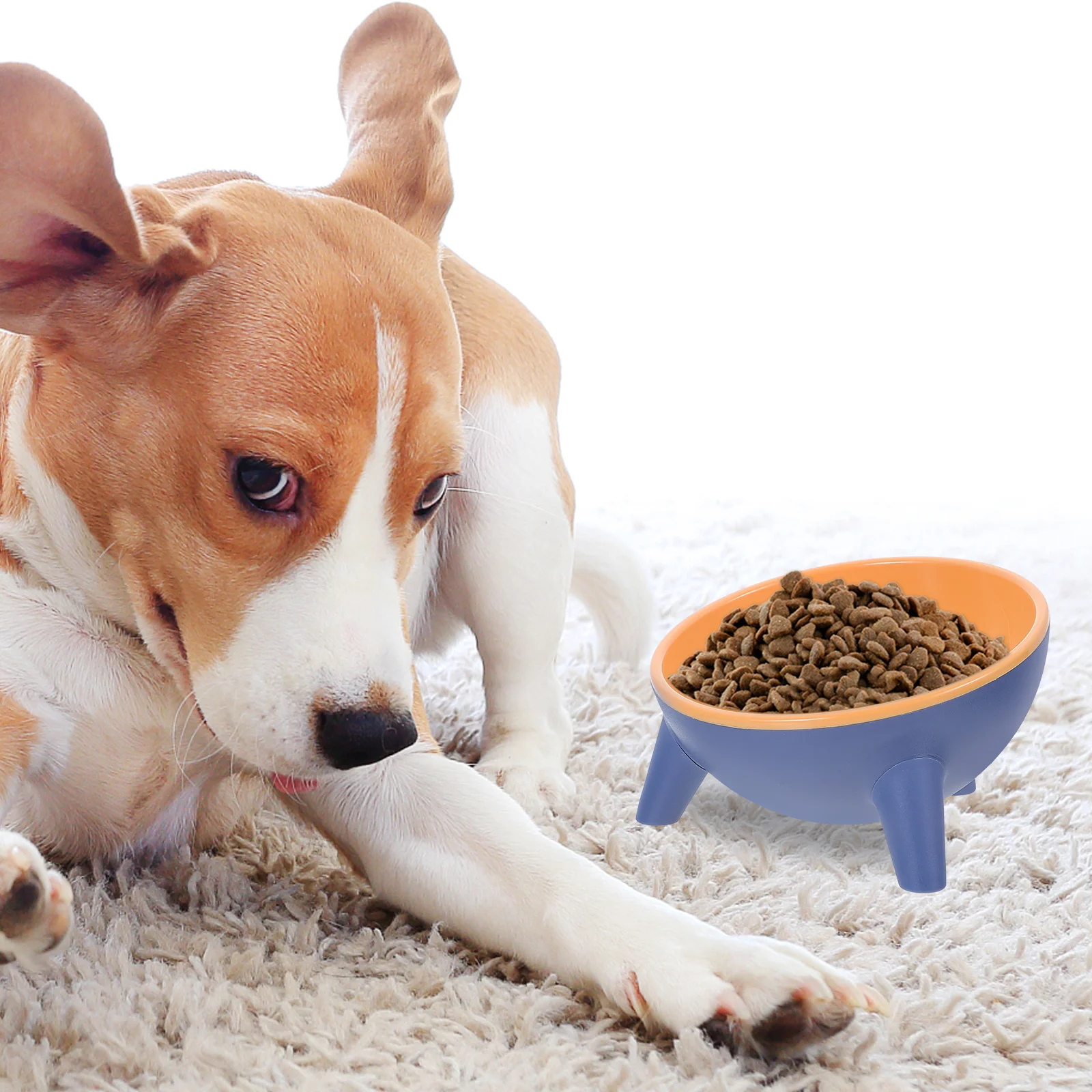 

Pet Feeding Bowl Set Resin Anti-Slip 3-Leg Base Stable Cat Dog Water Food Bowl For Can Plastic Pet Feeder