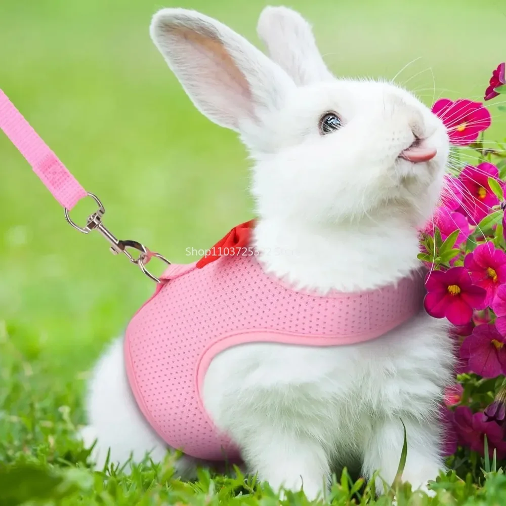Cute Bow Rabbit Harness Soft Mesh Small Pet No Pull Comfort Padded Vest for Bunny Guinea Pigs Squirrels and Other Small Animal