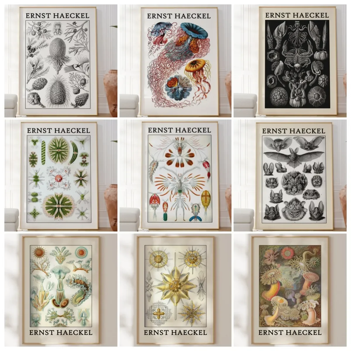 Haeckel Poster Fascinating Sea Life Poster As Haeckel Wall Art - Sea Animal Prints for Your Home or As A Gift Home Decor Posters