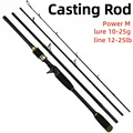 Casting Rod