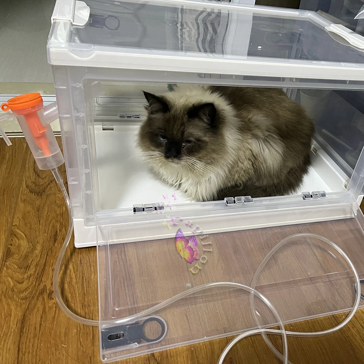 Caja de nebulización plegable para habitación de oxígeno para mascotas, jaula de oxígeno portátil para animales pequeños, caja de atomización veterinaria