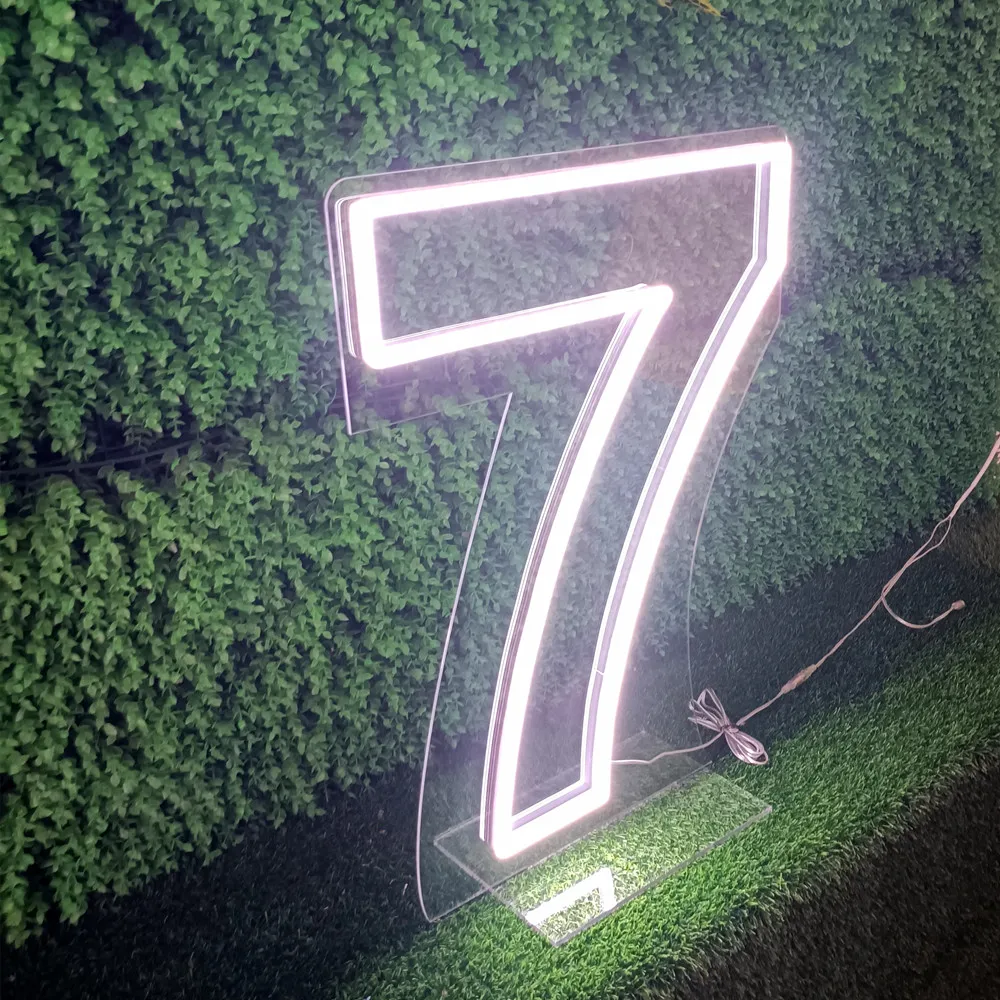 

Custom Neon Light Sign, Party Backdrop, Birthday Gift, Personalized LED Number, Aesthetic Room Decor, 0-9