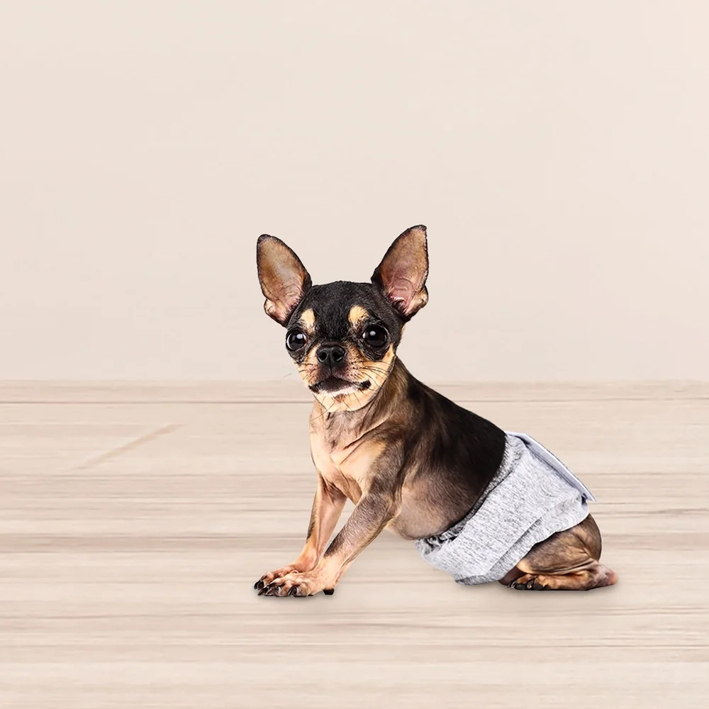 Washable Male Dog Wraps XS Super Absorbent Leak Proof Adjustable Hook and Loop Fasteners 3 Count Small Dogs