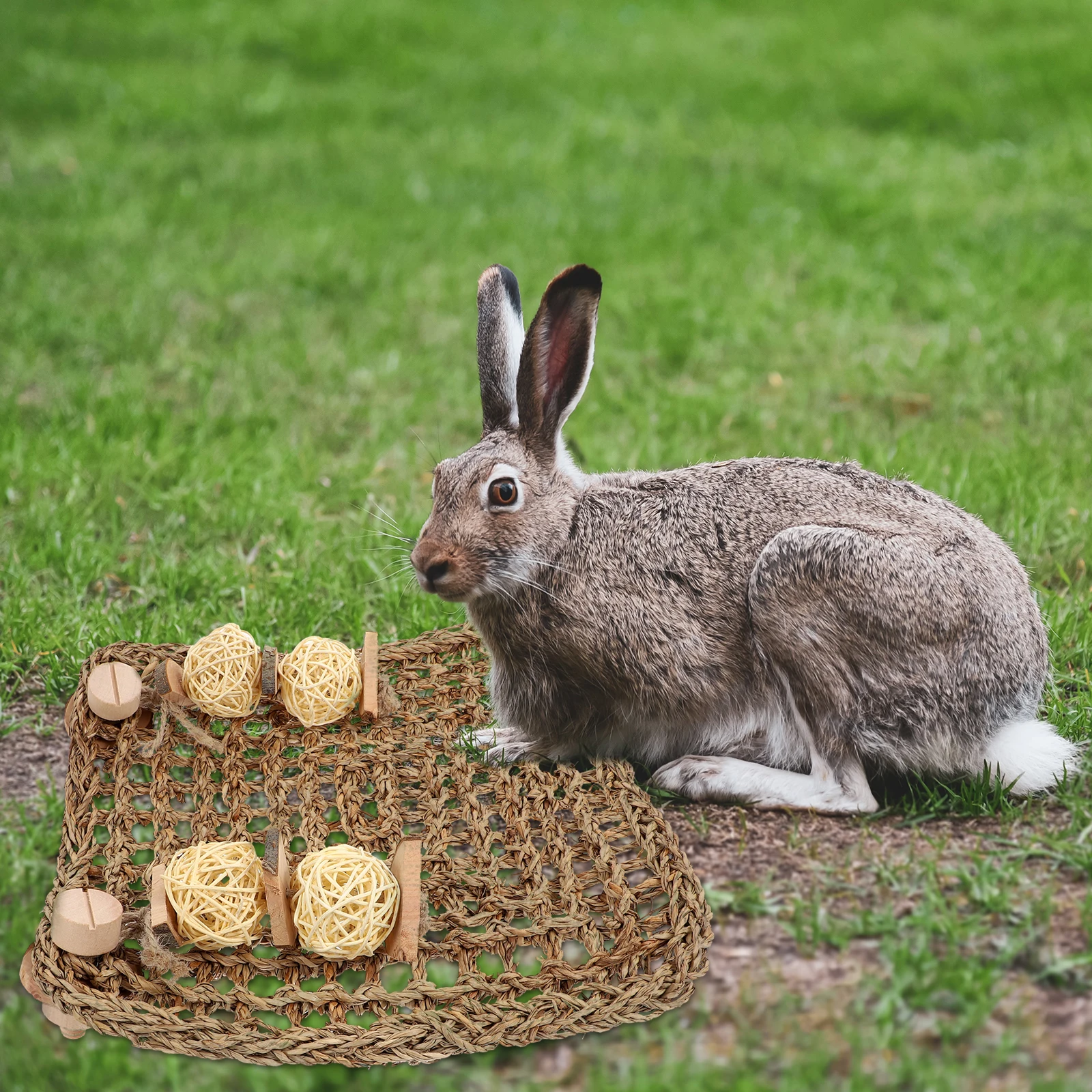 

Protective Straw Mat Guinea Pig Feet Rabbit Cage Scratch Board Wooden Pet Feet Pad Squirrel Footpad Grinding Claw Toy Durable