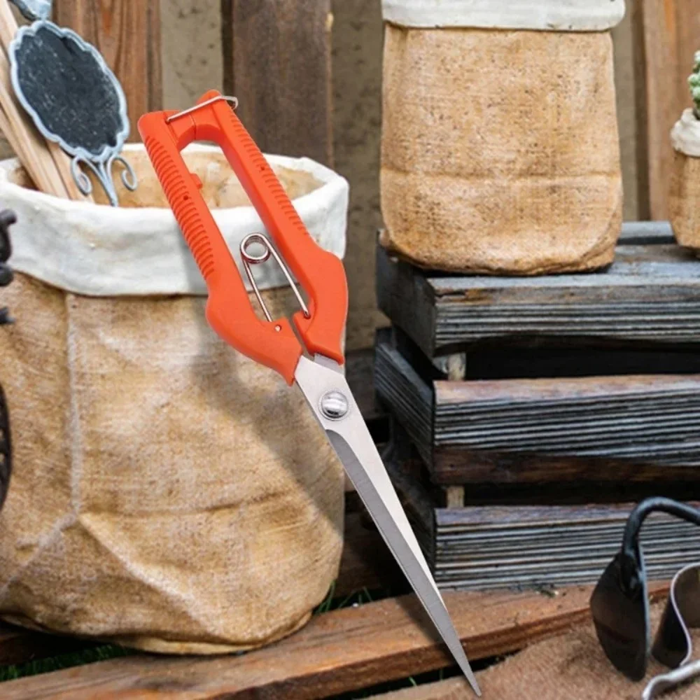 مقصات تشذيب الحدائق المهنية الفولاذ المقاوم للصدأ زهرة بونساي مقص المحمولة الجديدة البستنة أدوات يدوية مقصات قطف الفاكهة #3