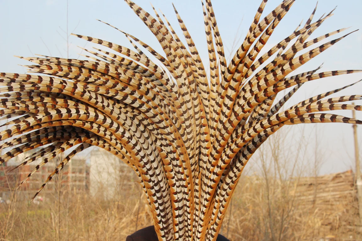 ZPDECOR Reeves Pheasant Feathers Package of 100 Pieces for Crafts And DIY Art