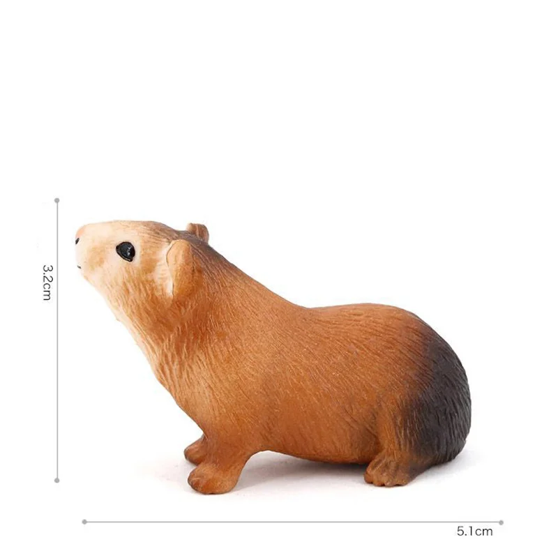 Realistic Simulation Animal Model Guinea Pig Squirrel Big-eared Fox Action Figures Models Collection Toys for Childrens Kid Gift